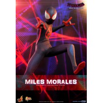 Hot Toys MMS710 1/6 Scale MILES MORALES